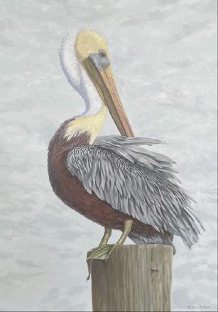 Pelicans, Pelican Painting, William Beebe, Charleston, Mary Martin 